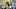 NFL Mock Draft 2027