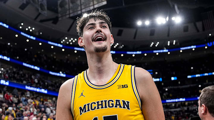 Aday Mara, Michigan Wolverines