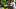 oregon ducks wide receiver evan stewart dakorien moore jordon davison jamari johnson dan lanning nebraska cornhuskers big ten oregon ducks wide receiver evan stewart dakorien moore jordon davison jamari johnson dan lanning nebraska cornhuskers big ten