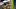 Oregon Ducks recruiting dan lanning eugene autzen stadium Brandon lockley Jr. xavier sabb peer recruiting exclusive interview