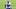 New England Patriots tight end Tanner Arkin New England Patriots tight end Tanner Arkin