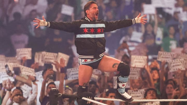 WWE Superstar CM Punk