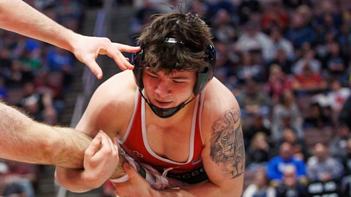 Grove City junior Hudson Hohman wrestles Bishop McCort junior Bo Bassett during the PIAA state wrestling championships, Saturday, March 8, 2025, at the Giant Center in Hershey.