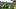 The Bananas celebrate their win as the Savannah Bananas visit Autzen Stadium in Eugene, Oregon on June 27, 2026. The Bananas celebrate their win as the Savannah Bananas visit Autzen Stadium in Eugene, Oregon on June 27, 2026.