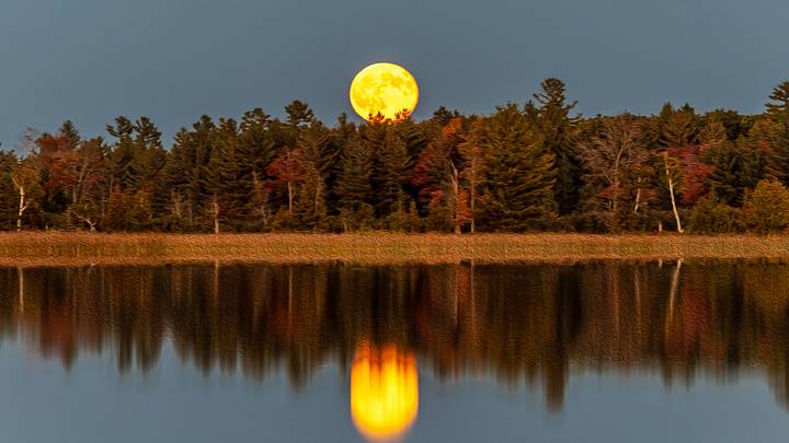 Harvest Full Moon Over Marl Lake