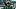 Michigan State Spartans linebacker Kenny Soares Jr. (23) and defensive lineman Eli Coenen (96) Michigan State Spartans linebacker Kenny Soares Jr. (23) and defensive lineman Eli Coenen (96)