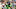 Combat Ducks quarterback Dante Moore throws Combat Ducks quarterback Dante Moore throws