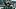 Michigan State Spartans linebacker Kenny Soares Jr. (23) and defensive lineman Eli Coenen (96) Michigan State Spartans linebacker Kenny Soares Jr. (23) and defensive lineman Eli Coenen (96)