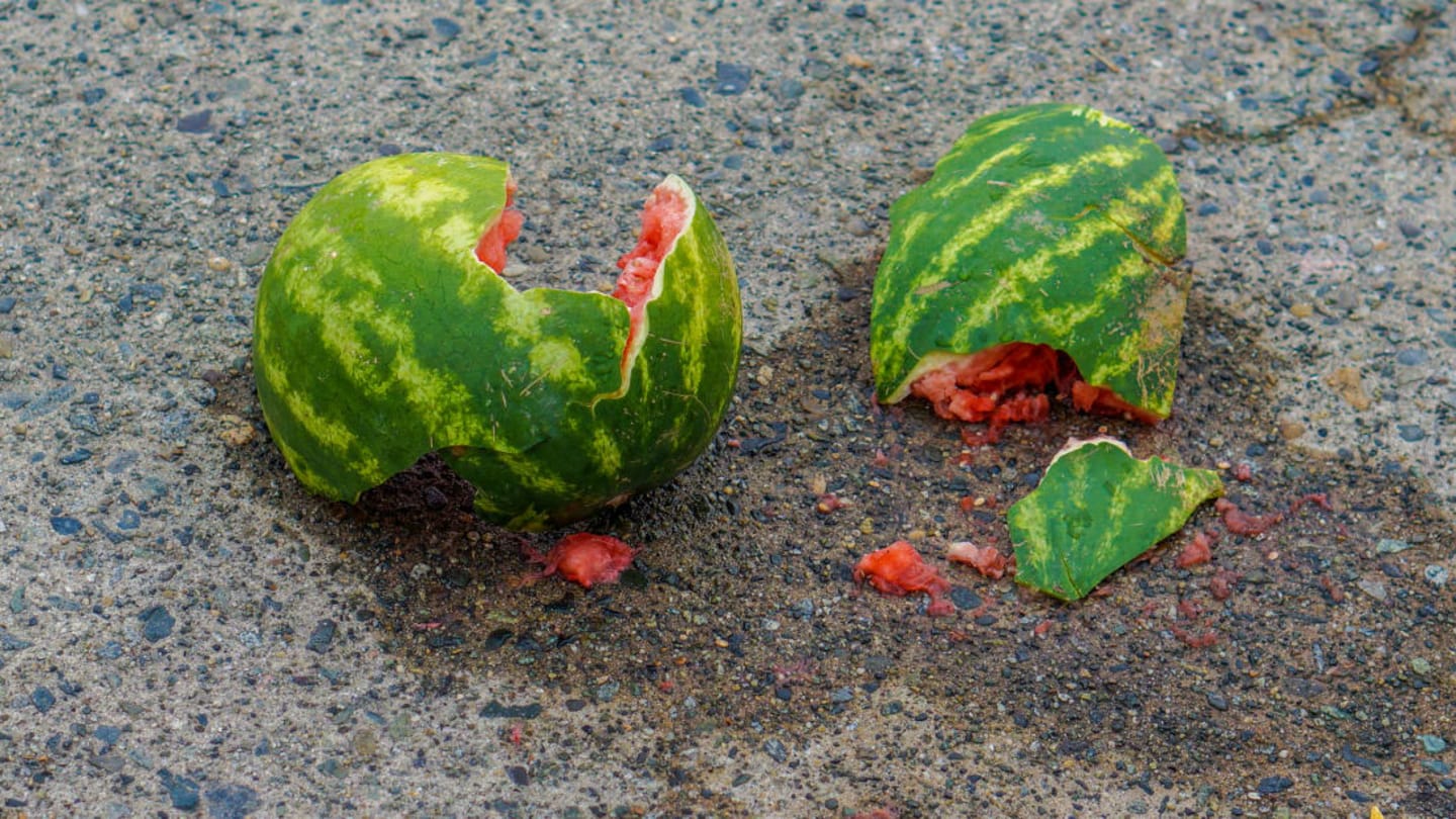 Smashing Watermelons With Breast