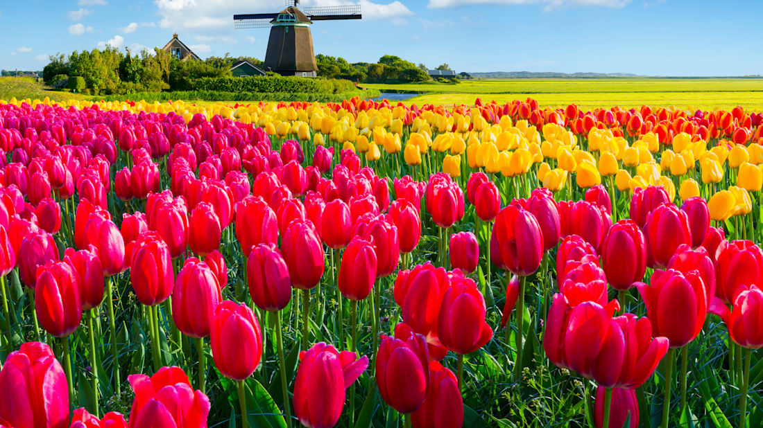 iStock