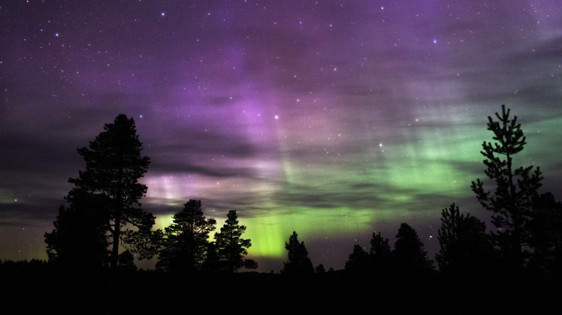 Look Up Residents Of Maine And Michigan Might Catch A Glimpse Of The Northern Lights Tonight Mental Floss