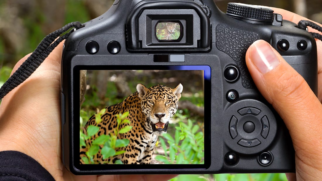 iStock