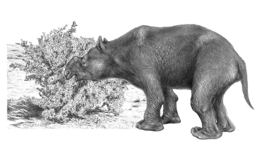 Archaeologists Find 49 000 Year Old Artifacts In Australia S Interior Mental Floss
