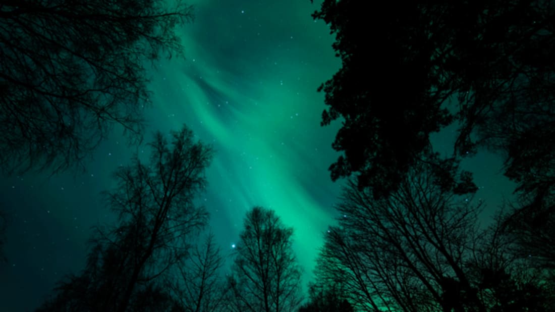 iStock