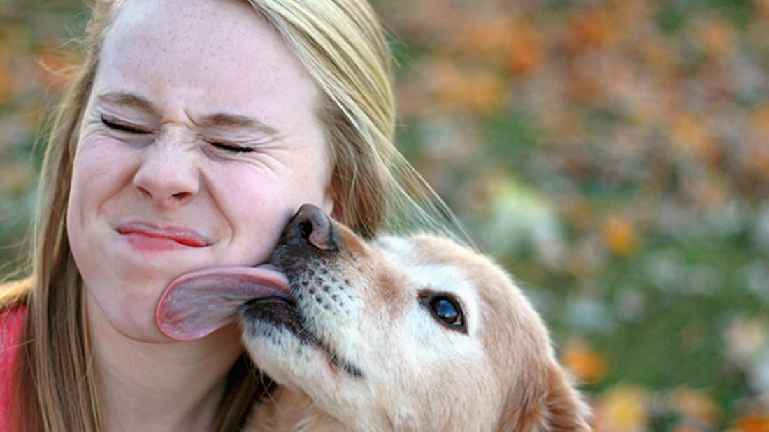 iStock