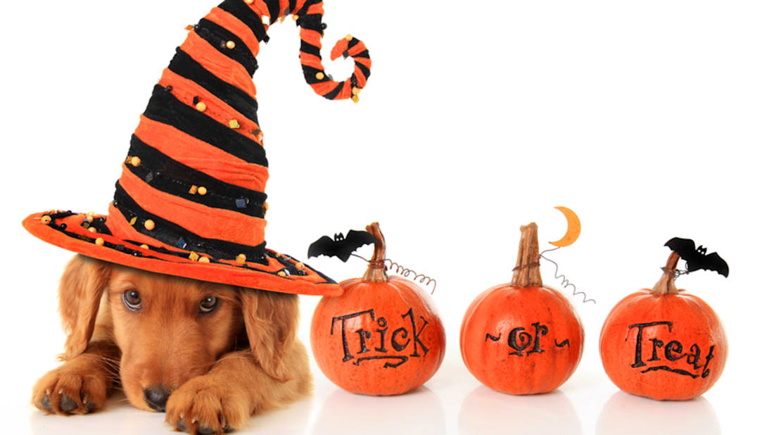 iStock
