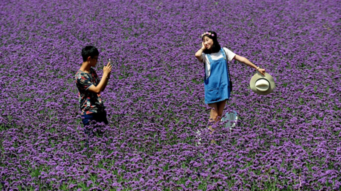 Getty Images