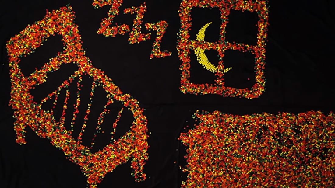 The Days Of Your Life In Jelly Beans Mental Floss