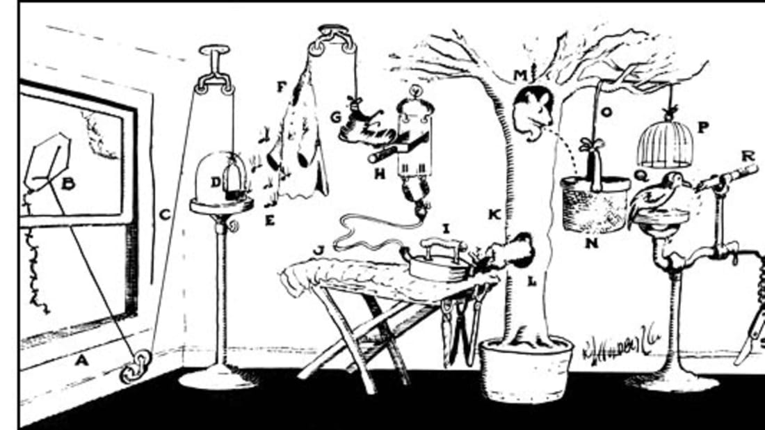 20 Rube goldberg machine drawing ideas for Round Face