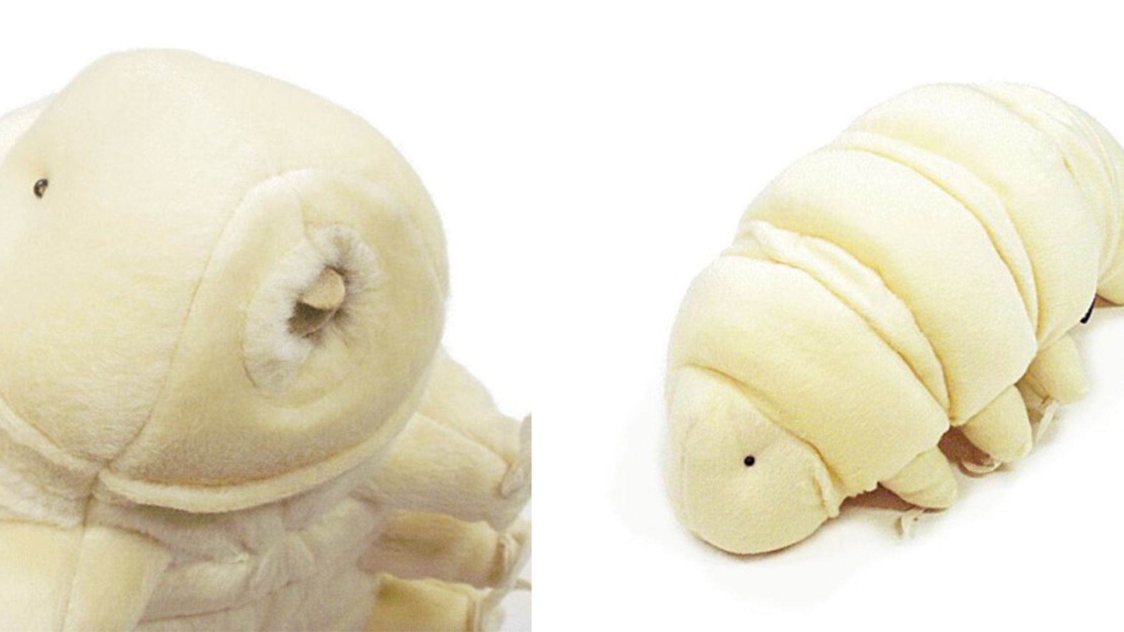 stuffed tardigrade