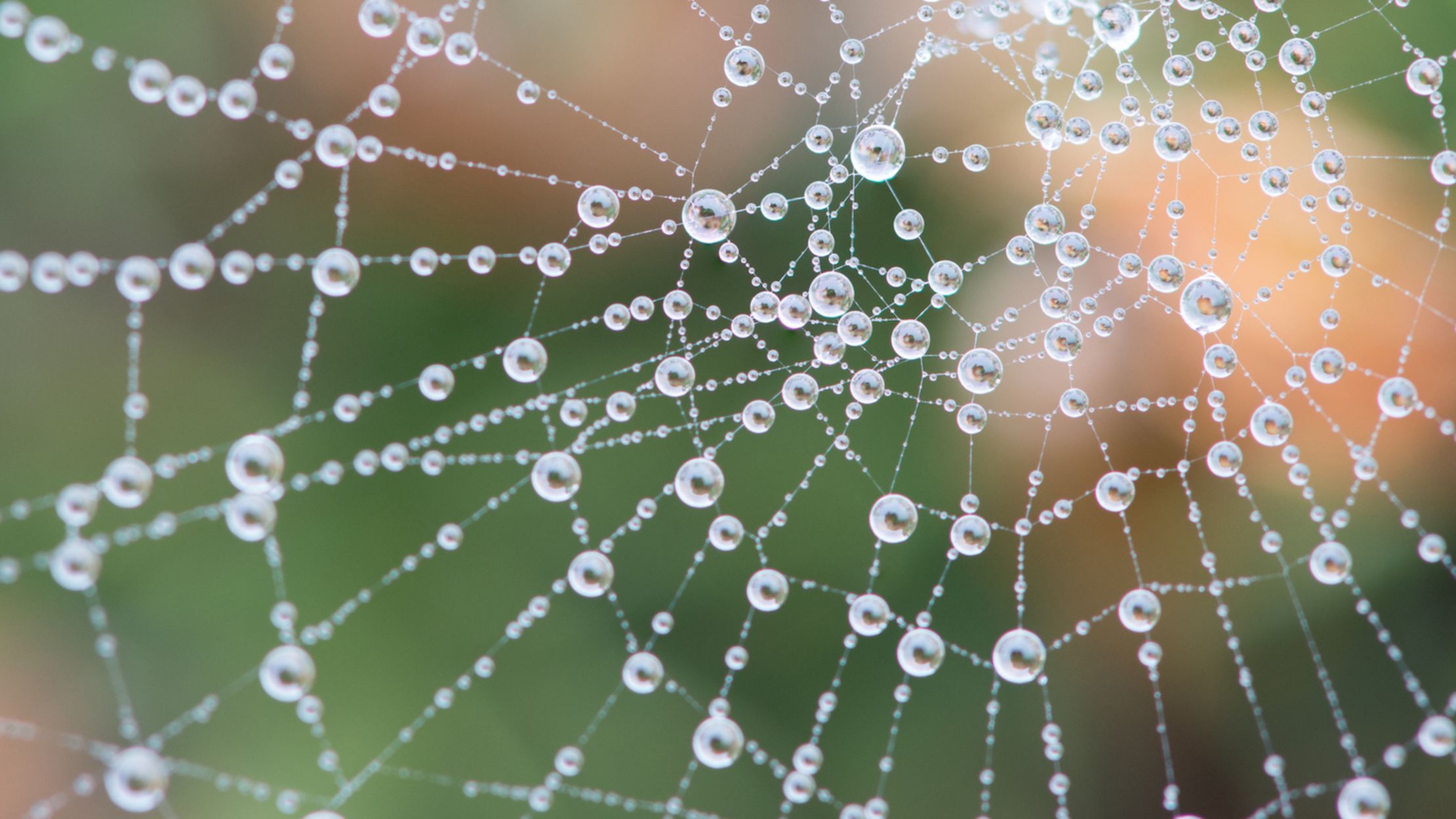 What Is The Dew Point And How Does It Relate To Humidity Mental Floss