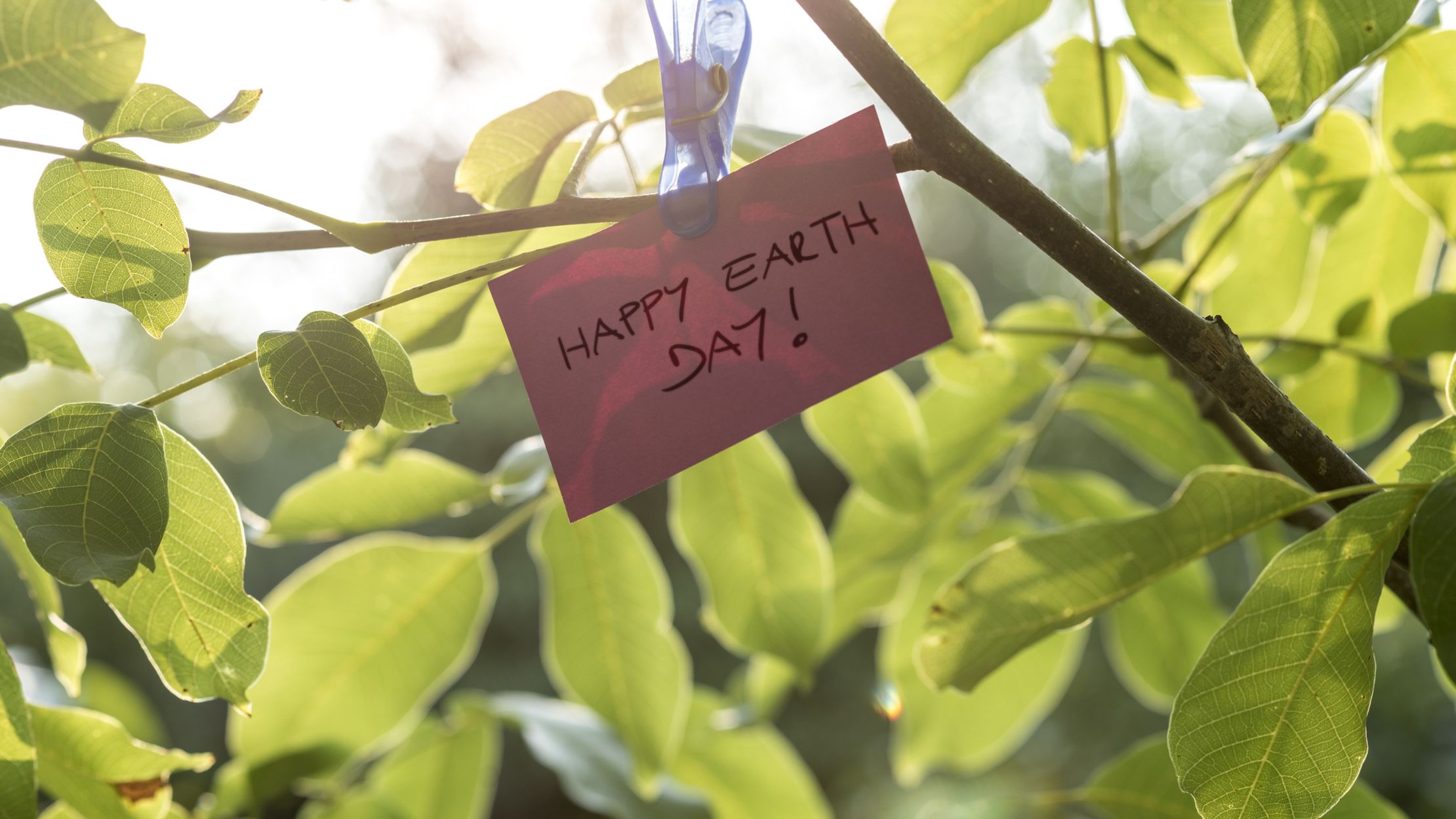 10 Earth Day Celebrations Around the World - Mental Floss