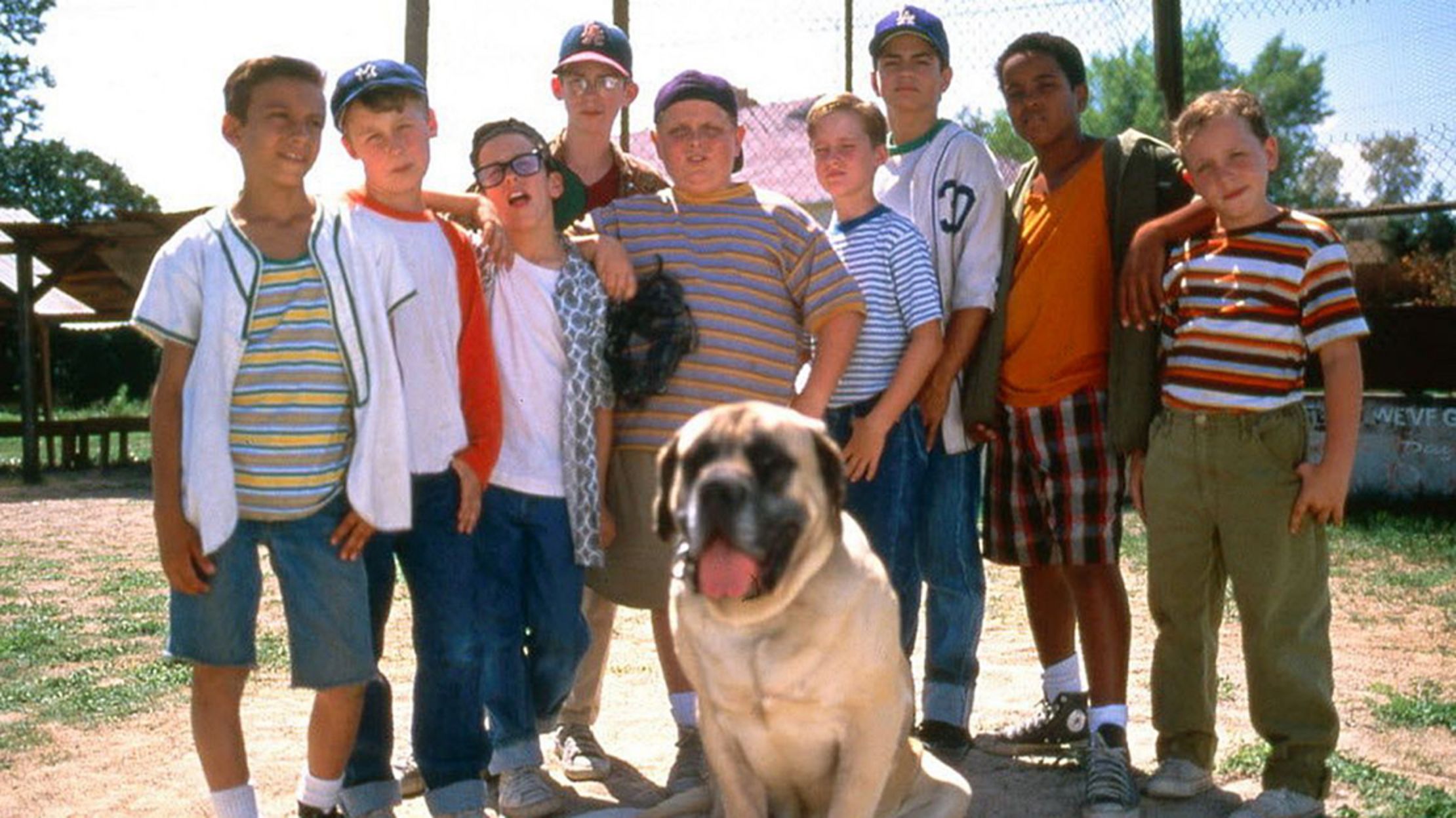 what kind of dog is in the sandlot