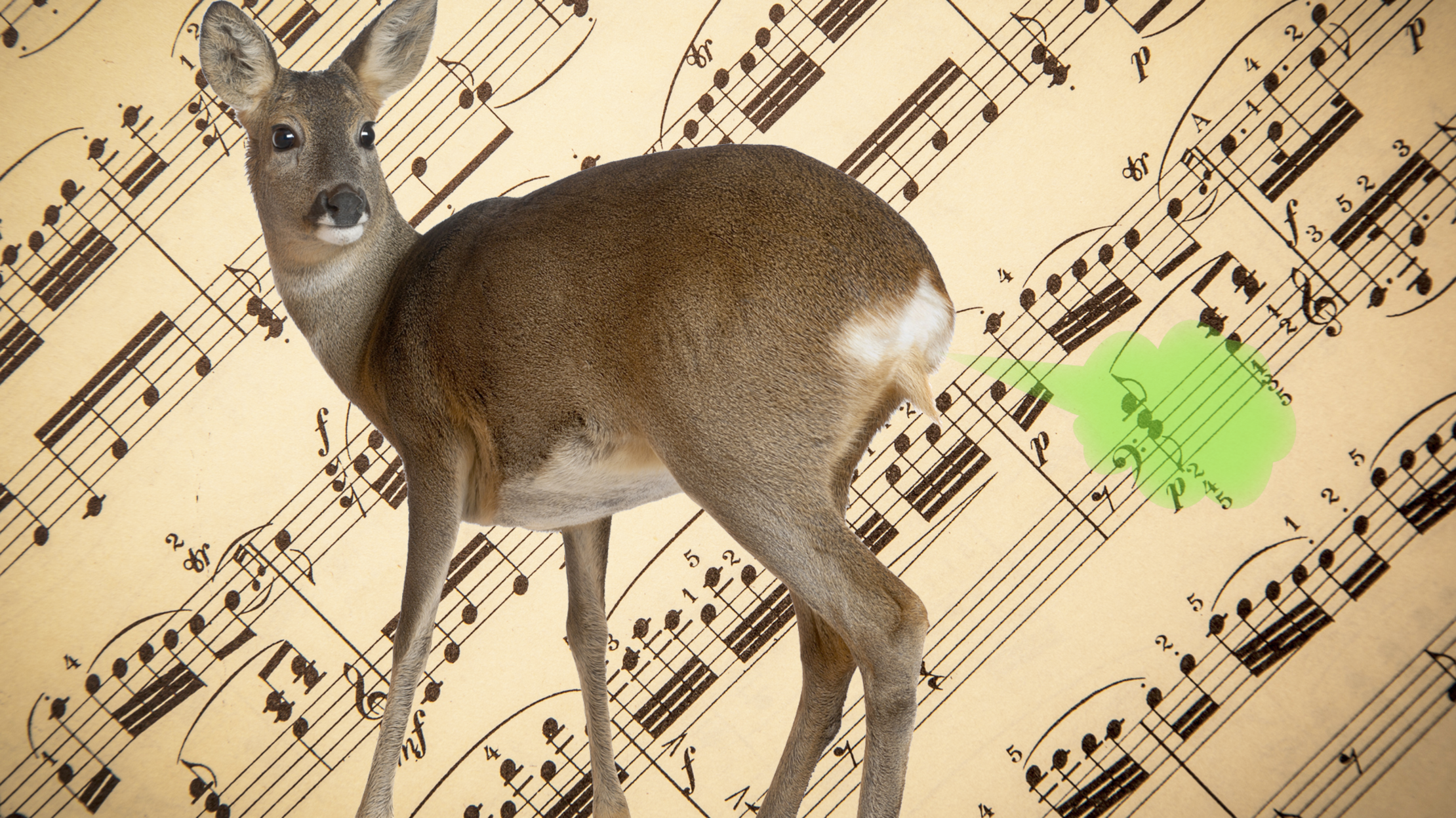 12 Scholarly Takes on Whether or Not the 13th Century Song