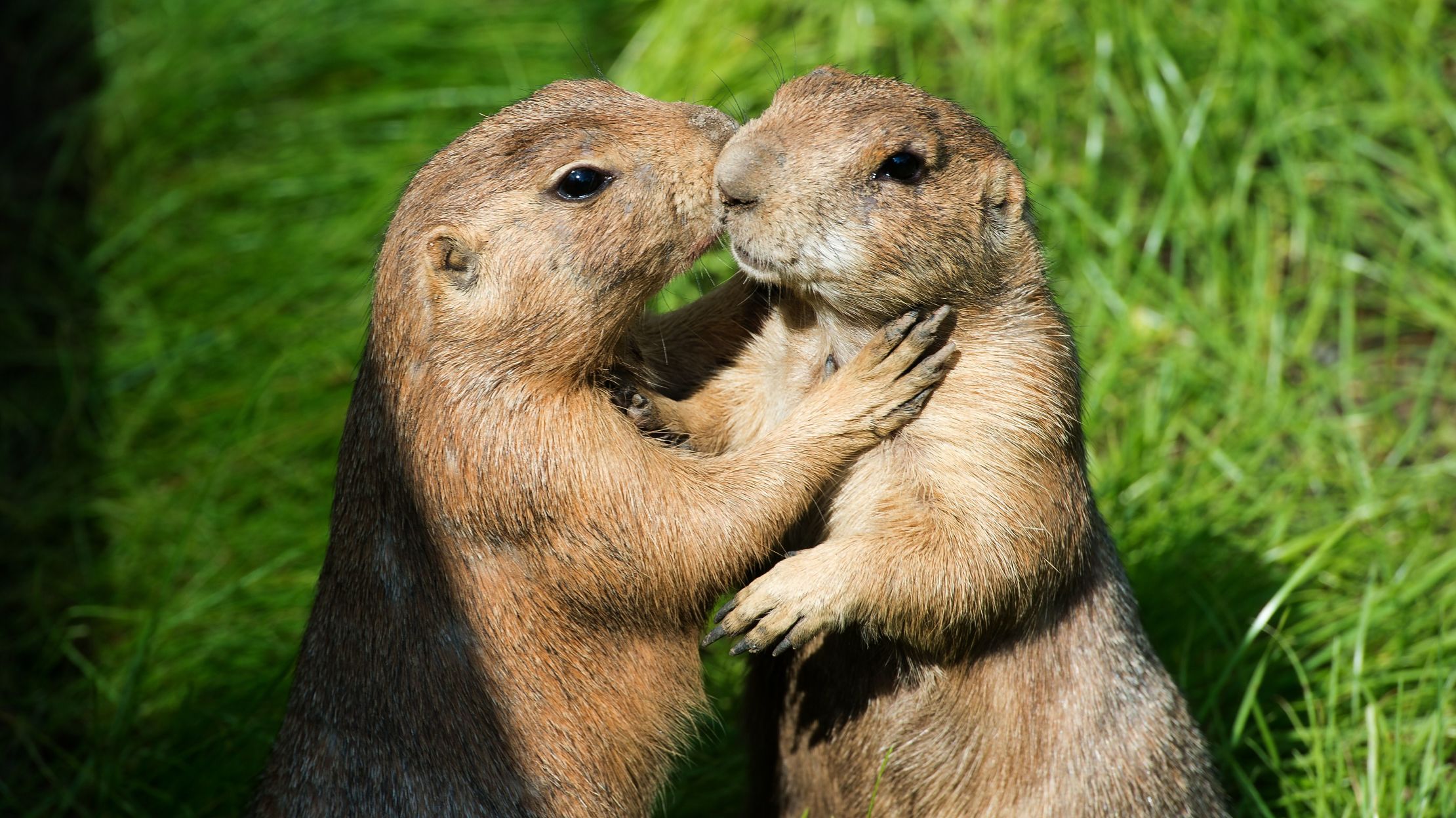 65 Amazing Facts That Will Blow Your Mind Mental Floss