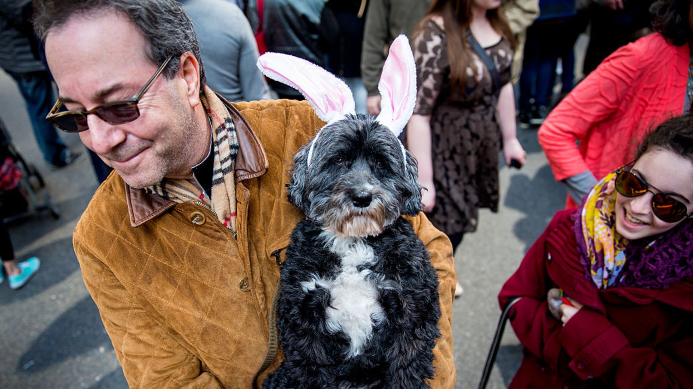 dogs dressed up for easter