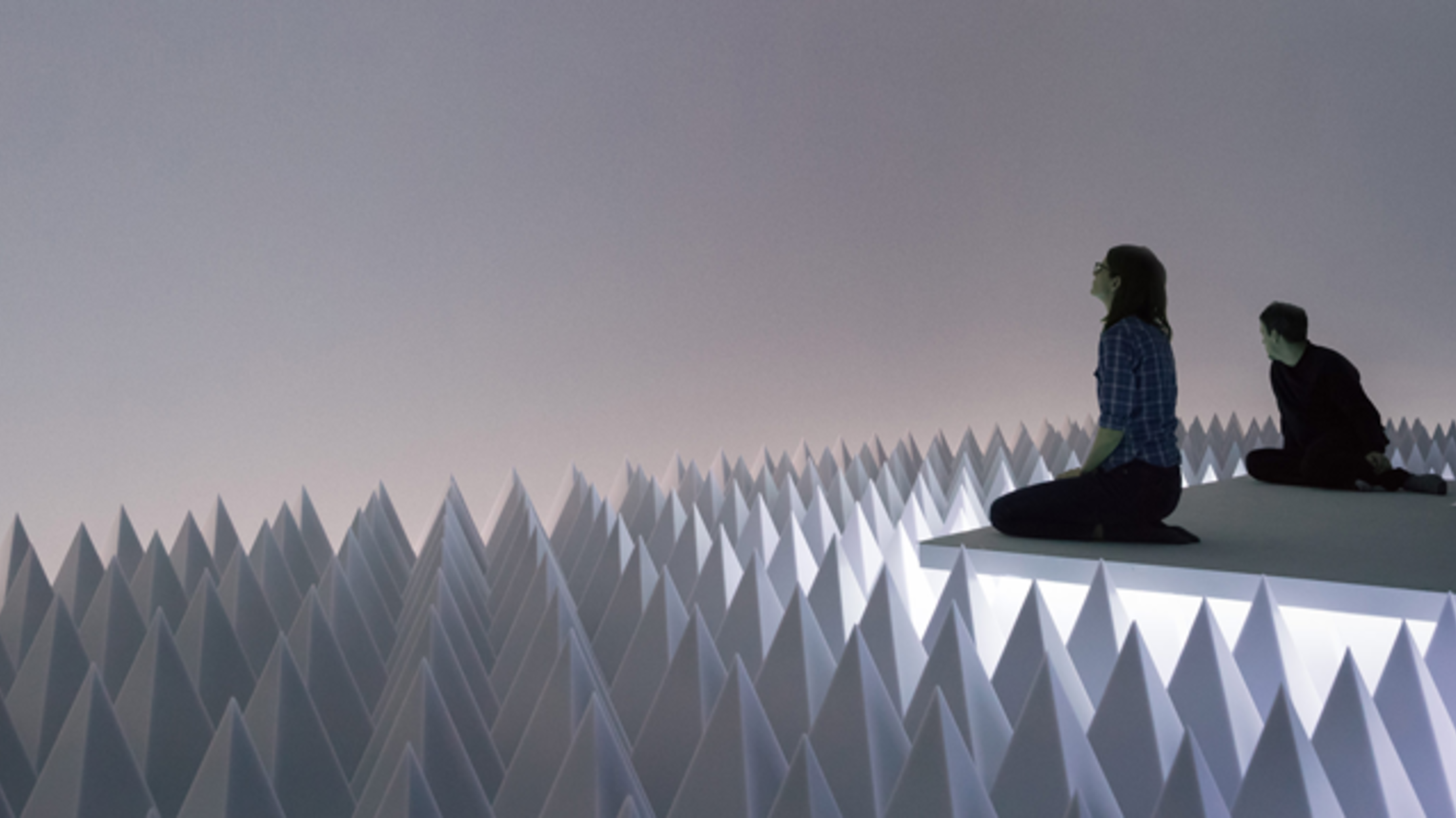 SoundAbsorbing Art Installation Offers Visitors Almost Total Silence