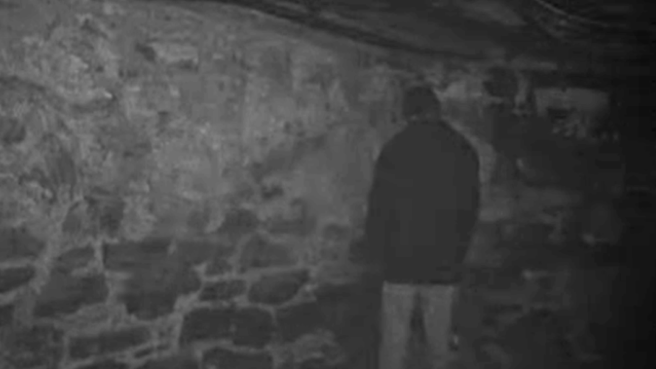 the blair witch project full movie