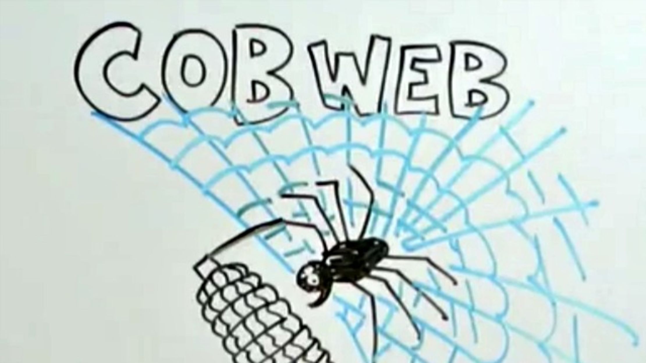 The 'Cob' in 'Cobweb,' and Other Mysterious Word Parts, Decoded