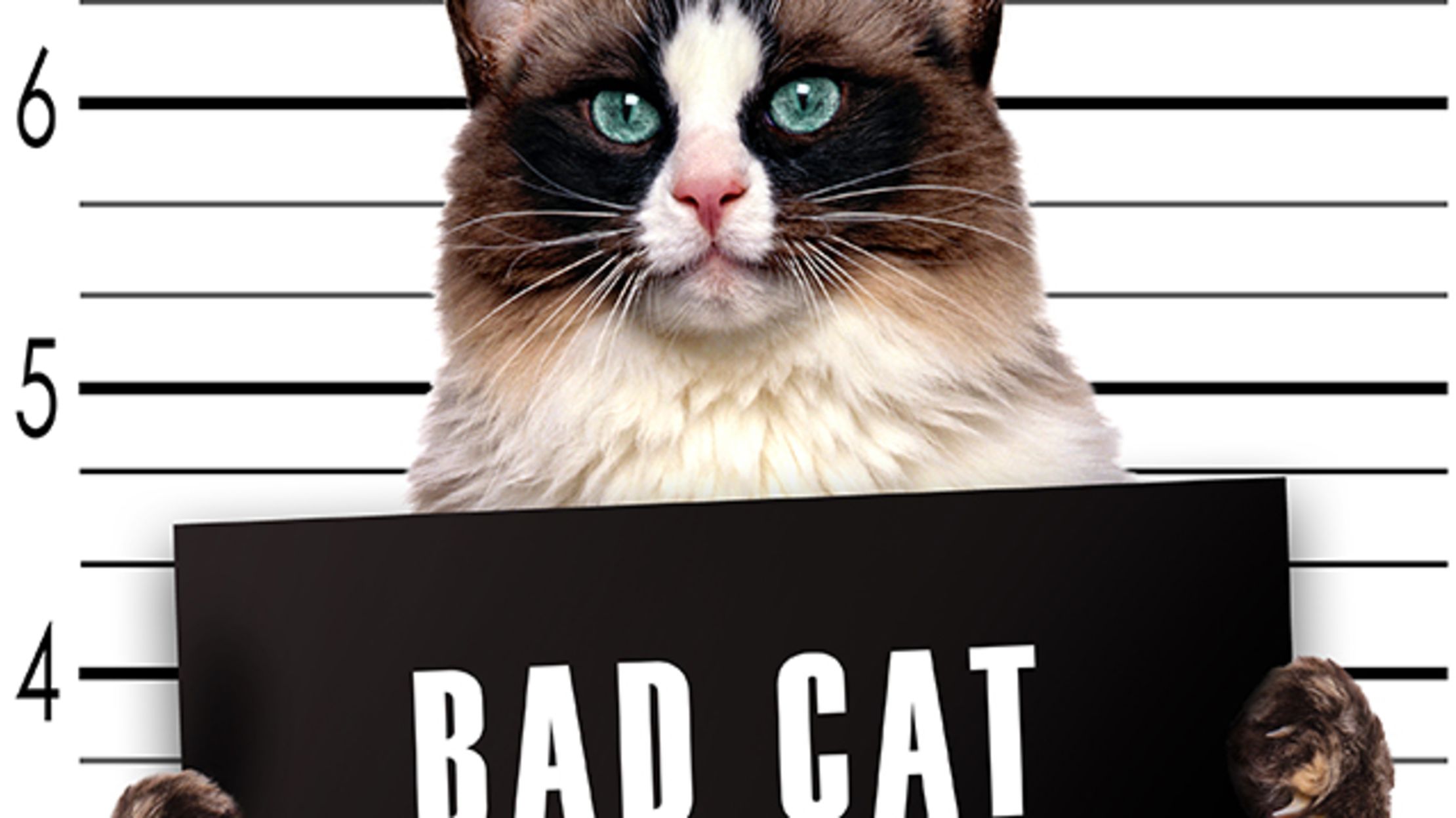 8 Animals That Have Been Imprisoned Or Arrested Mental Floss