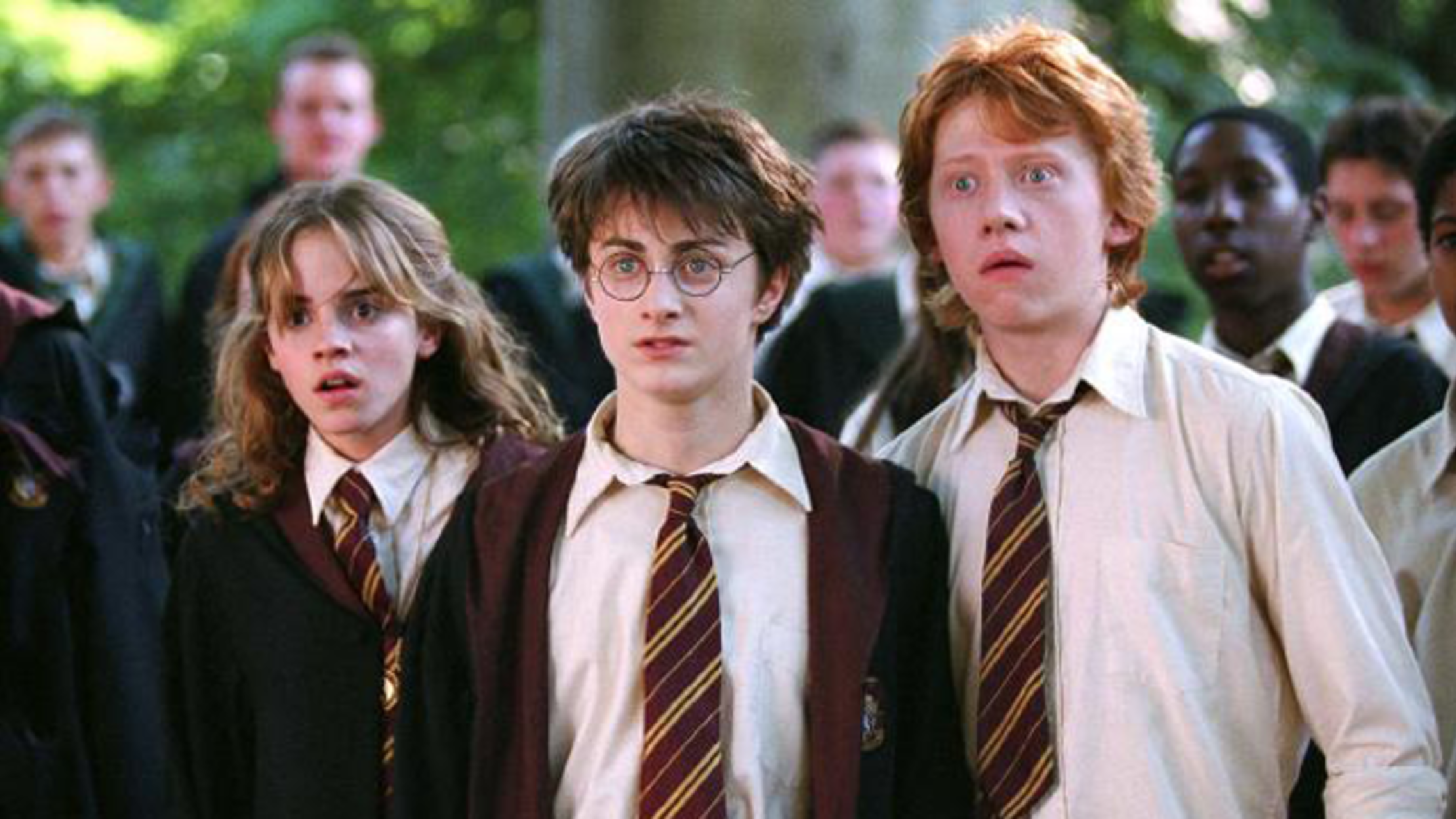 harry potter and the goblet of fire characters