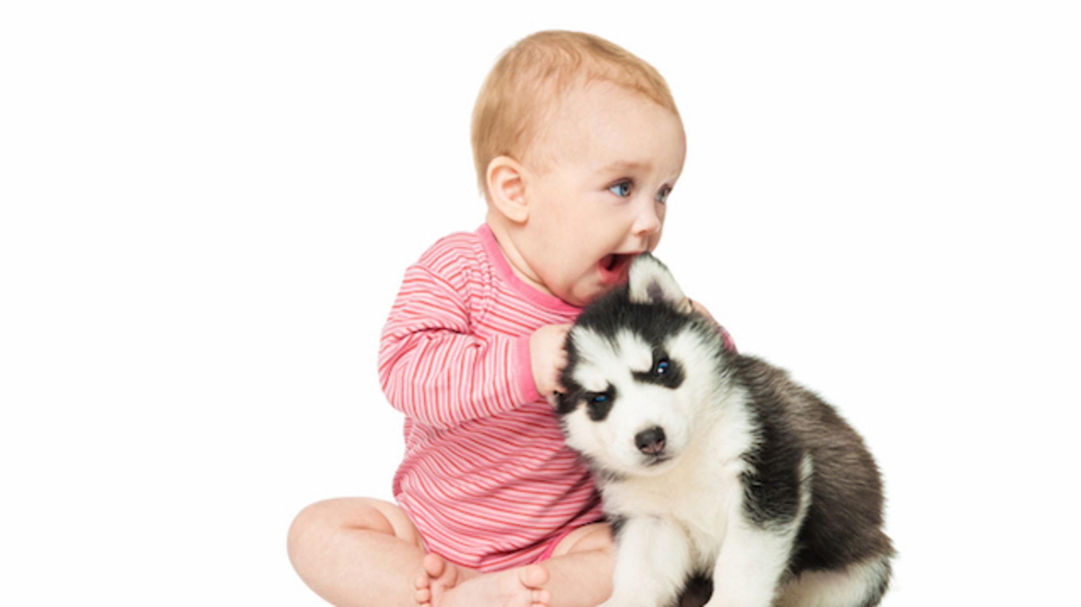 Why Do We Use the Same Voice to Talk to Babies and Dogs? Mental Floss