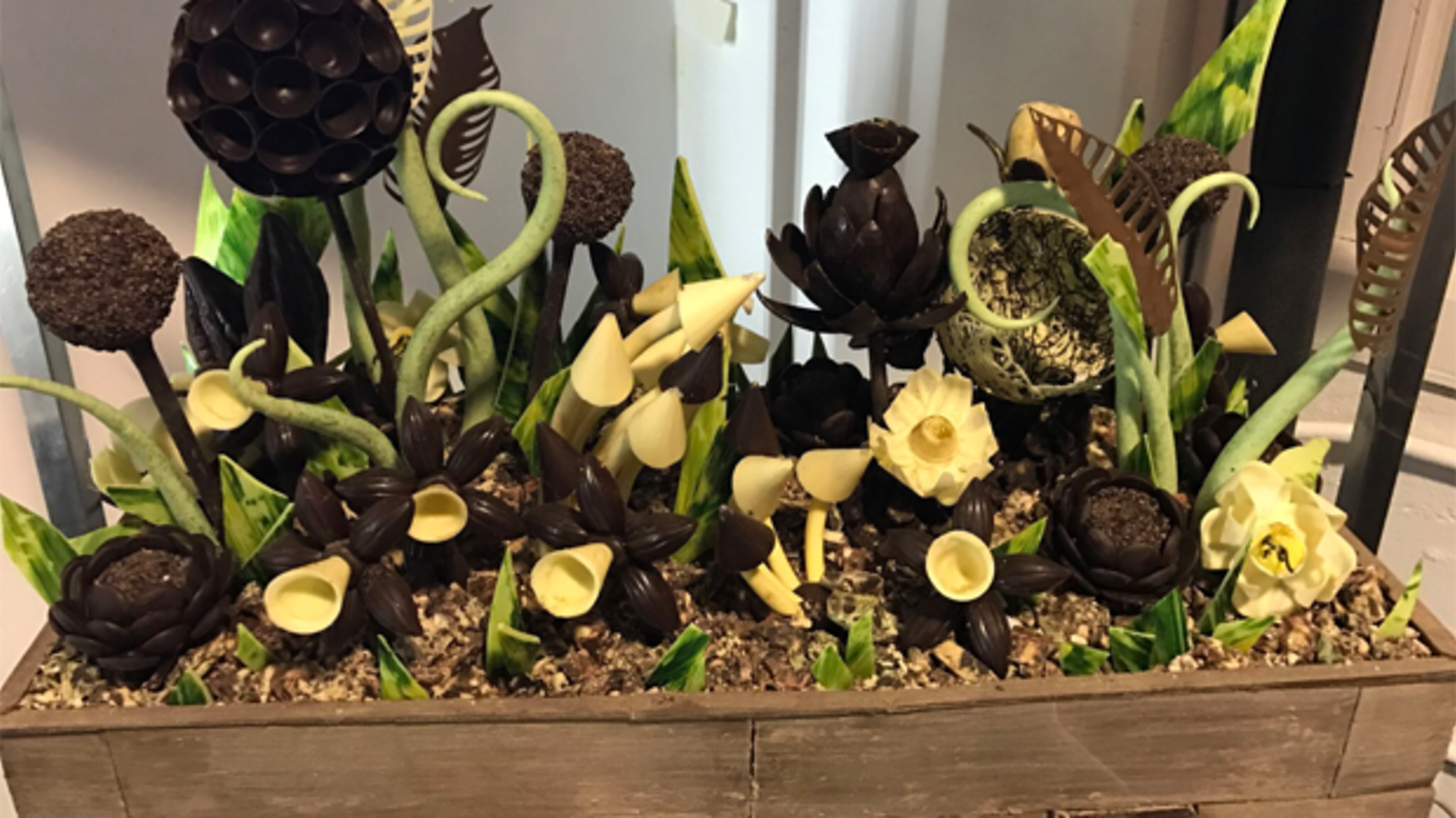 New York Gets Its First Chocolate Museum Mental Floss