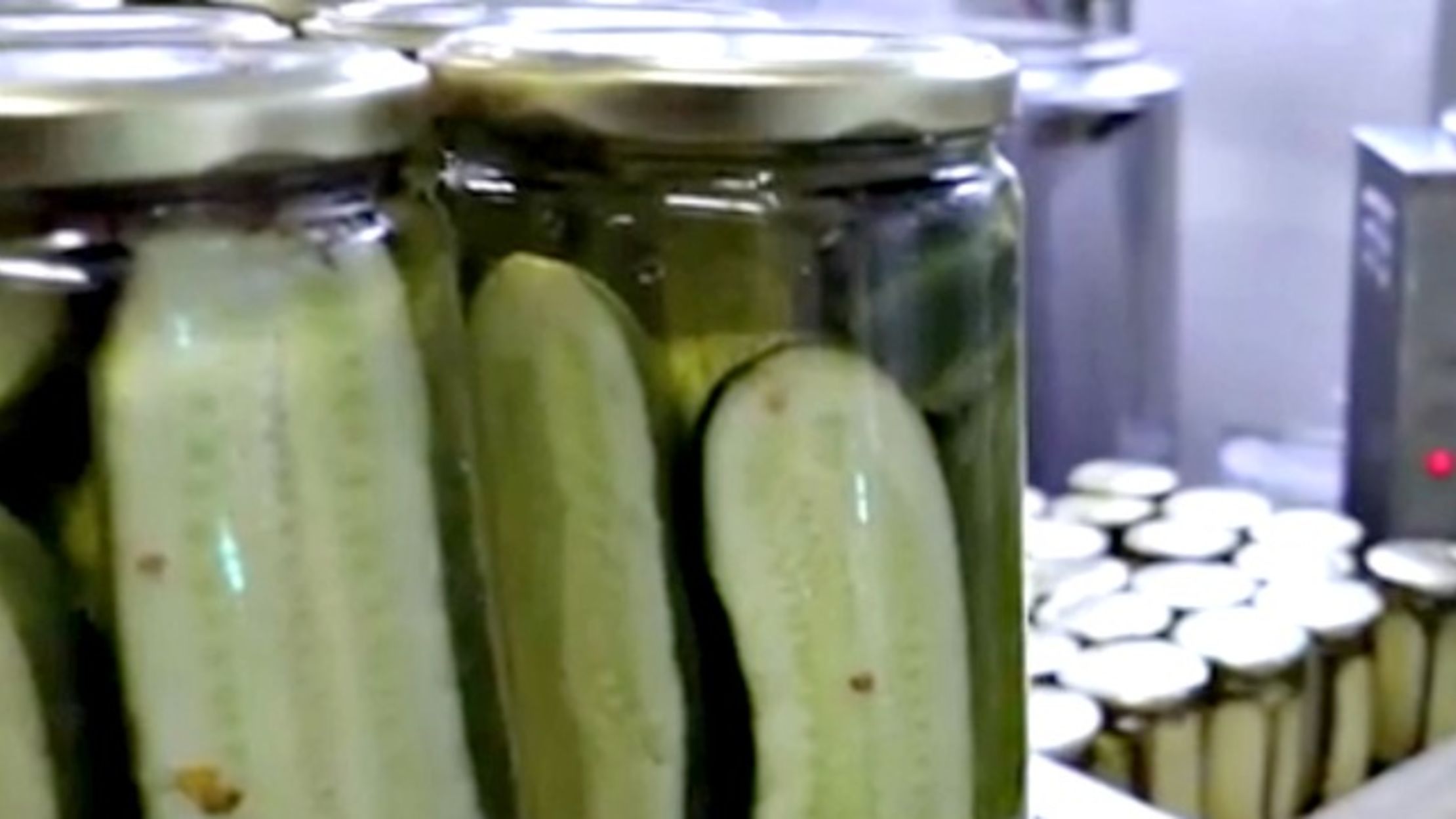 Inside a Pickle Factory Mental Floss