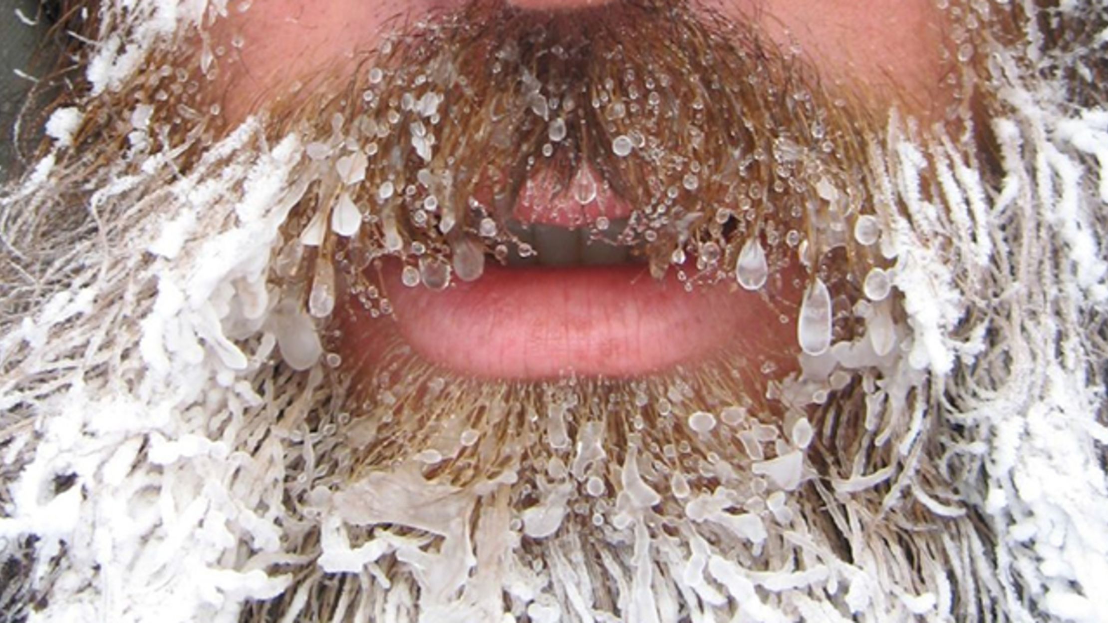 Inside Canada's Annual International Hair Freezing Contest Mental Floss