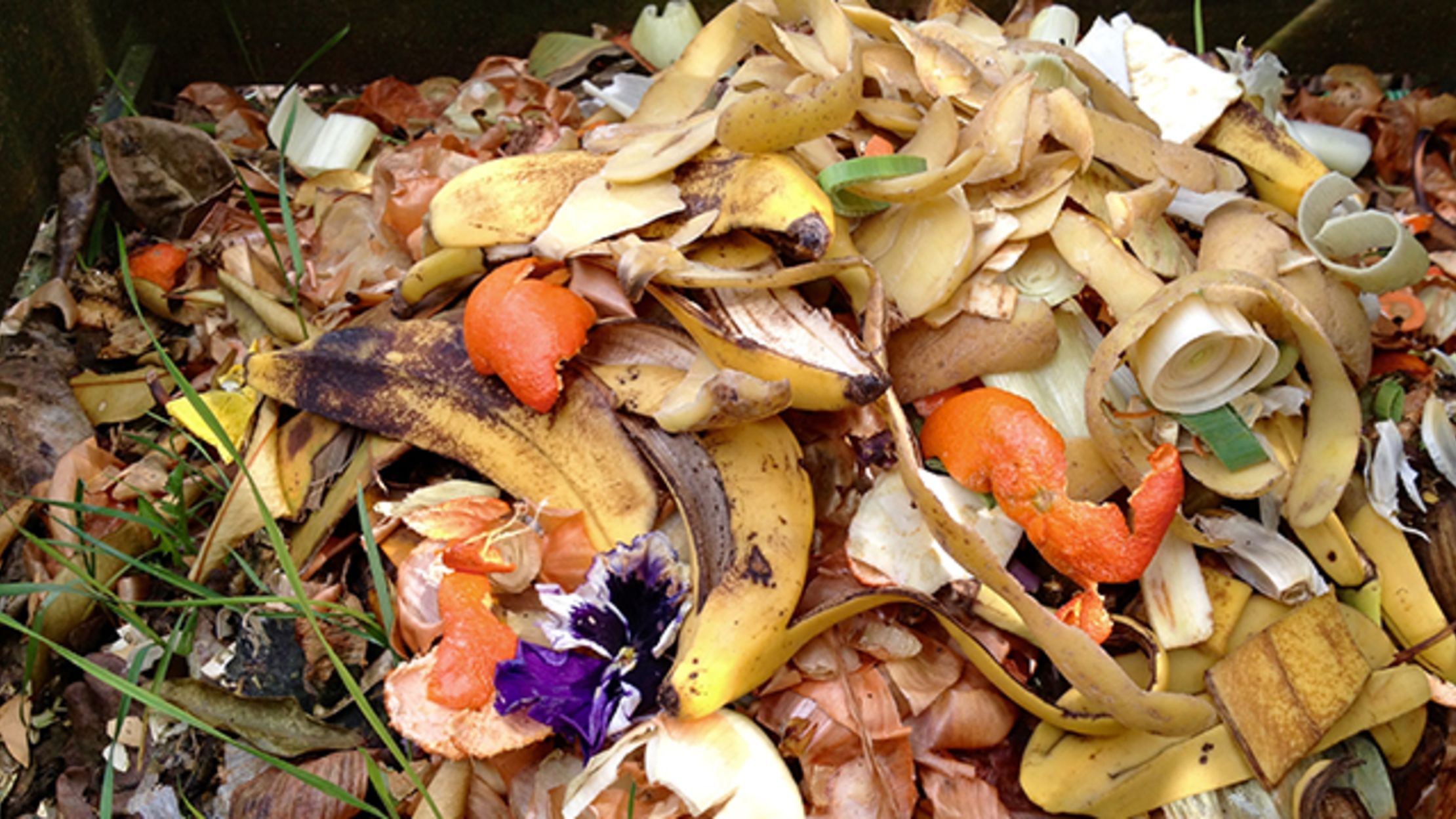 People Waste More Food If They Have the Option to Compost It Mental Floss