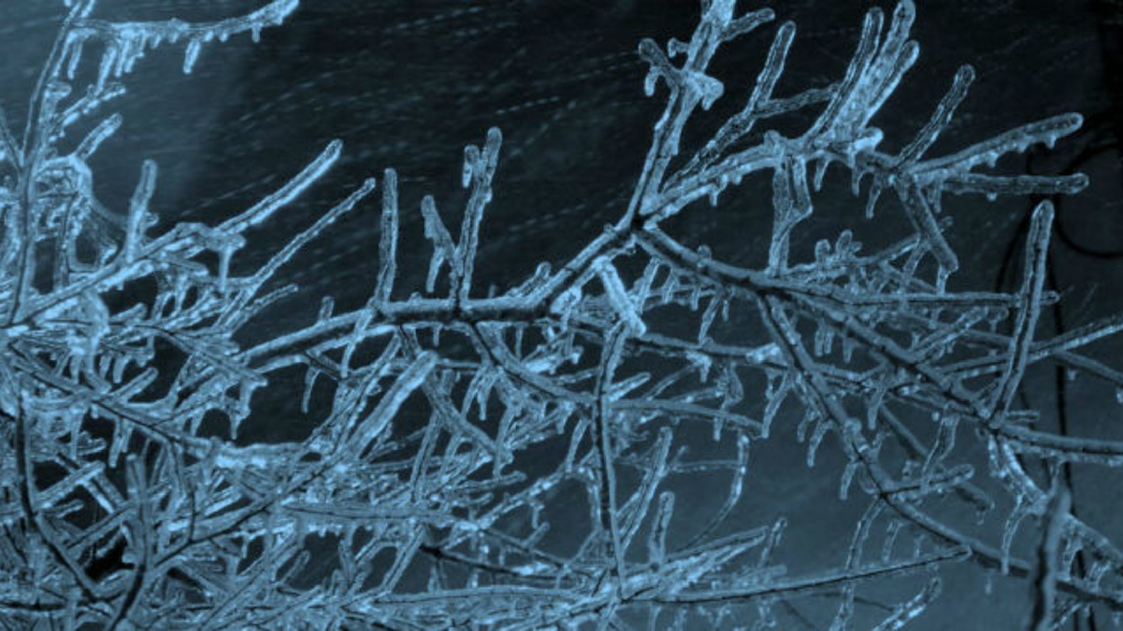 7 Wintery Facts About Ice, Freezing Rain, and Sleet