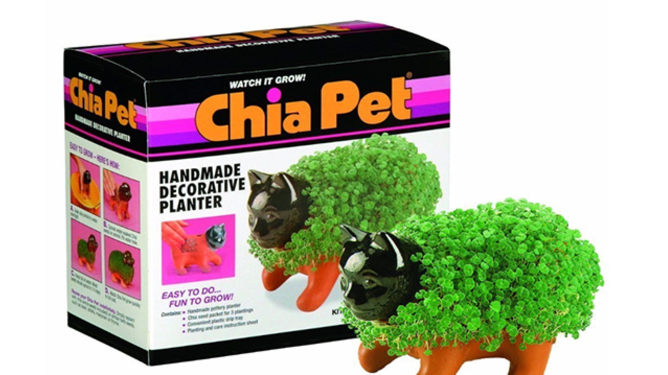 9 Nostalgic Facts About Chia Pets | Mental Floss