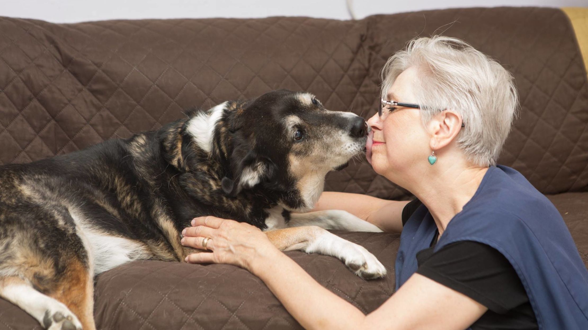 10 Animal Retirement Homes Mental Floss