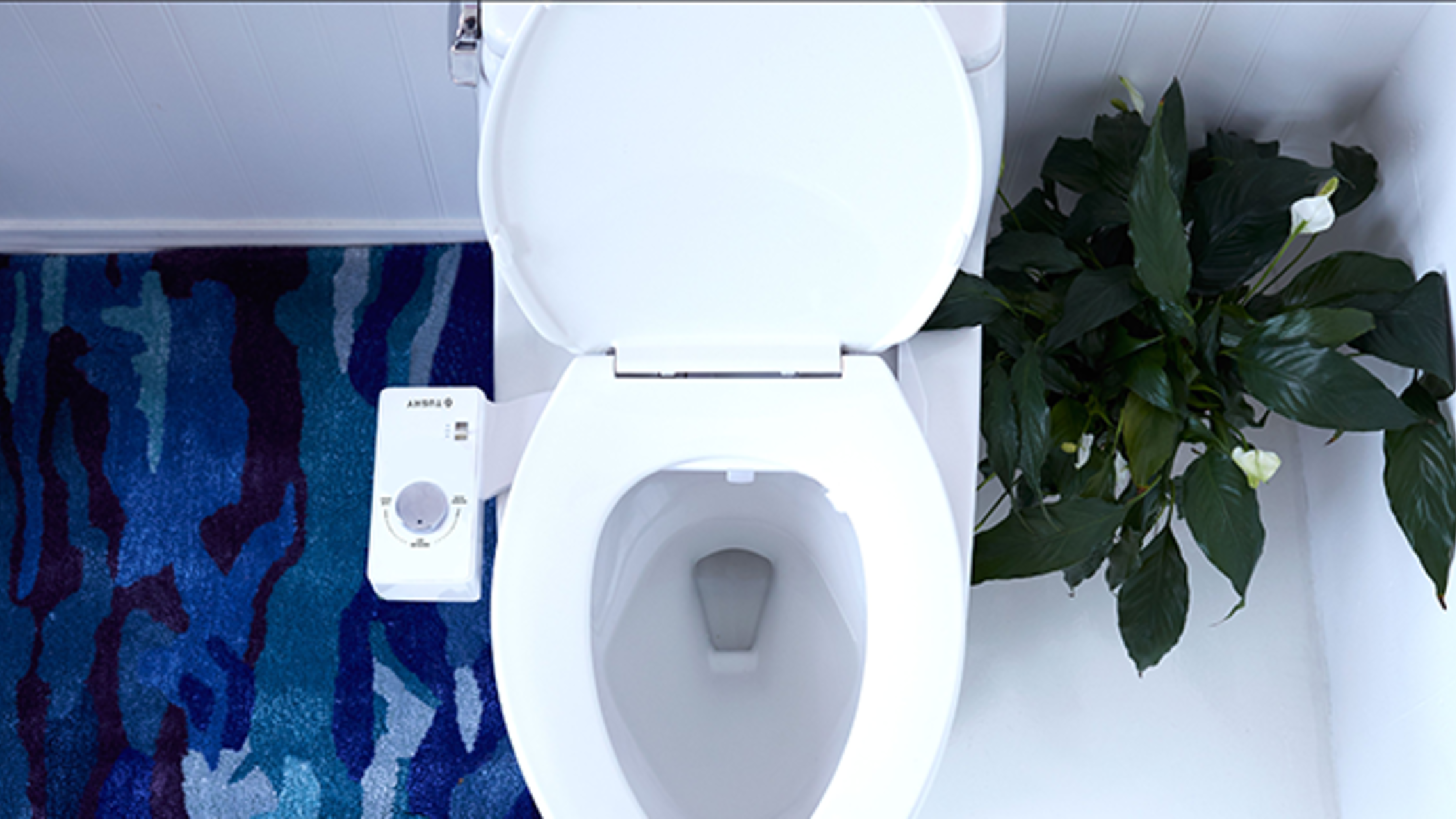 Why You Should Definitely Get a Bidet Mental Floss