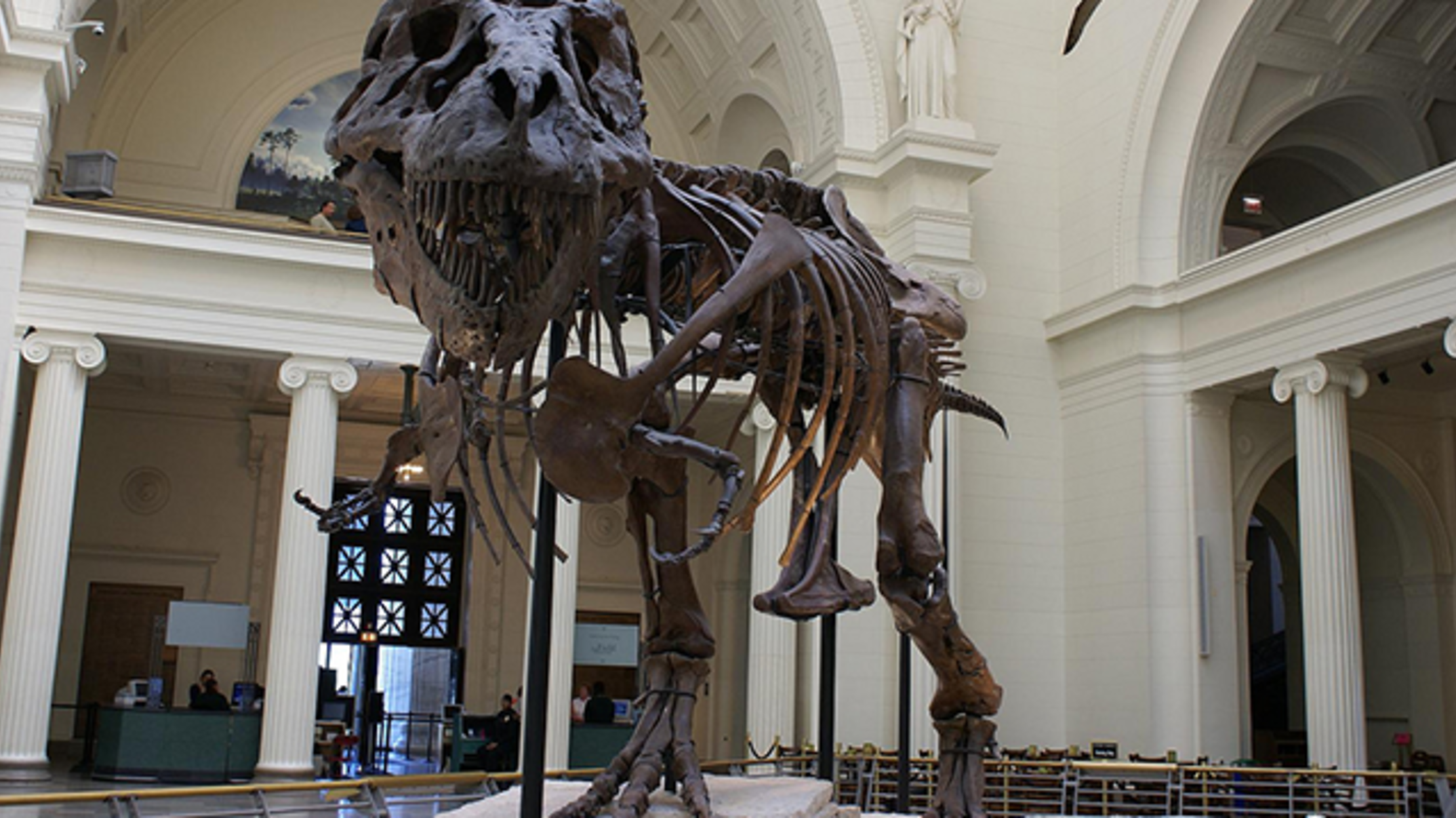 The Field Museum Is Launching a Beer Based on Its T. rex, Sue Mental