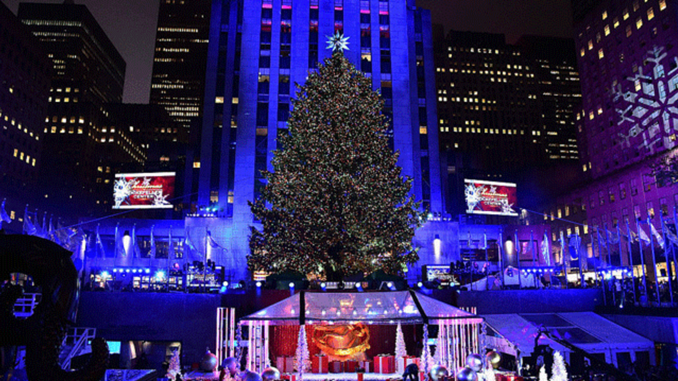 9 Ways Christmas Trees Are Reused After The Holidays Mental Floss