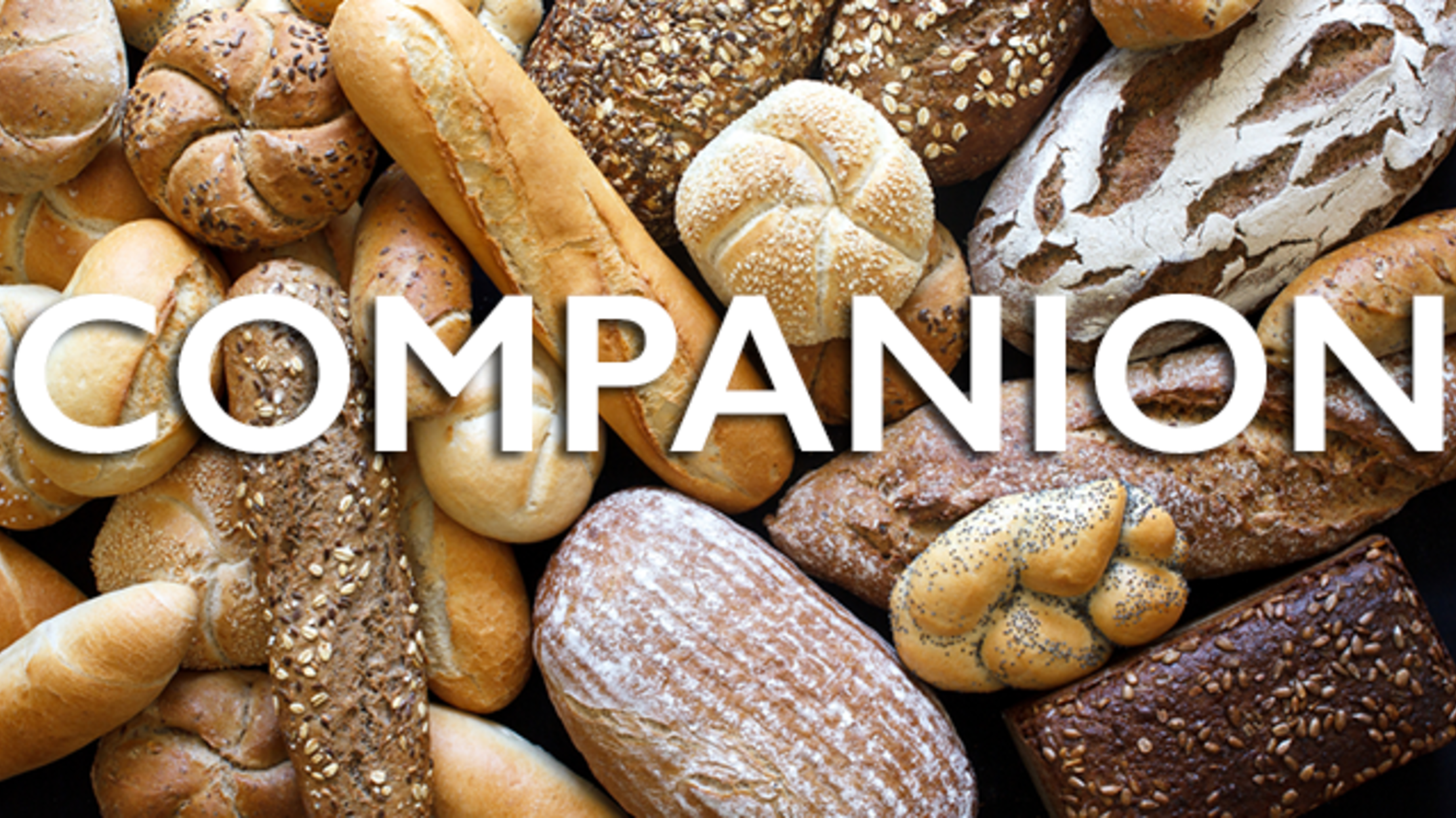 15 Perfect Metaphors Hidden in Word Etymologies Mental Floss