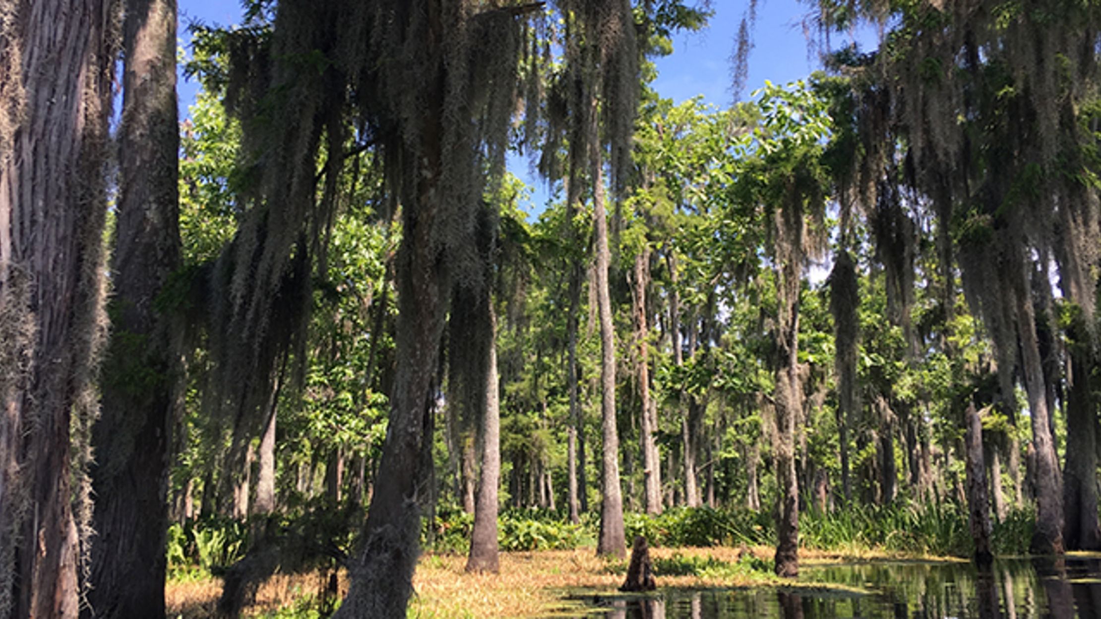 The Legend (and Truth) of the Voodoo Priestess Who Haunts a Louisiana