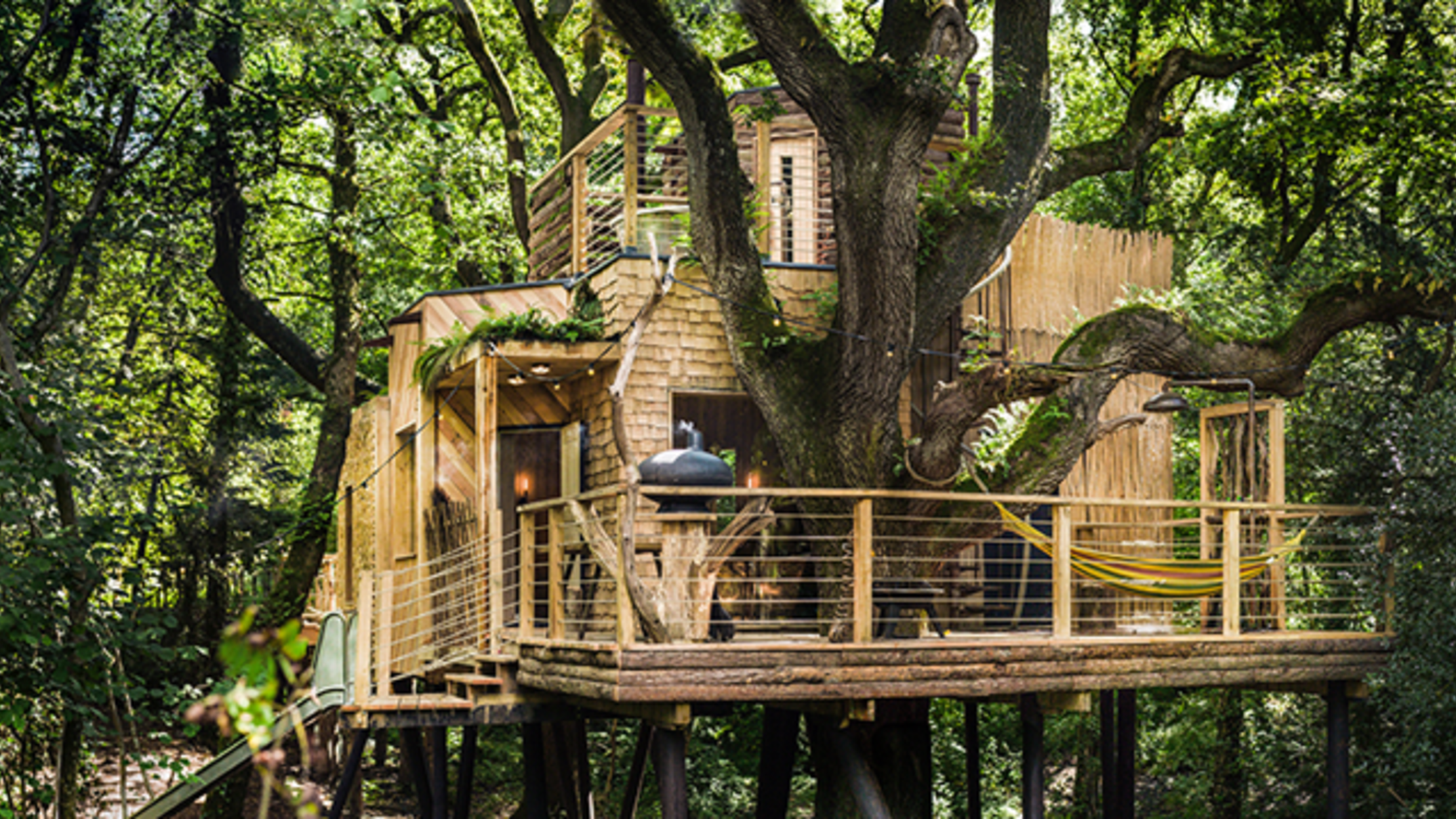 A Luxury Treehouse Is a Glamper’s Dream Mental Floss