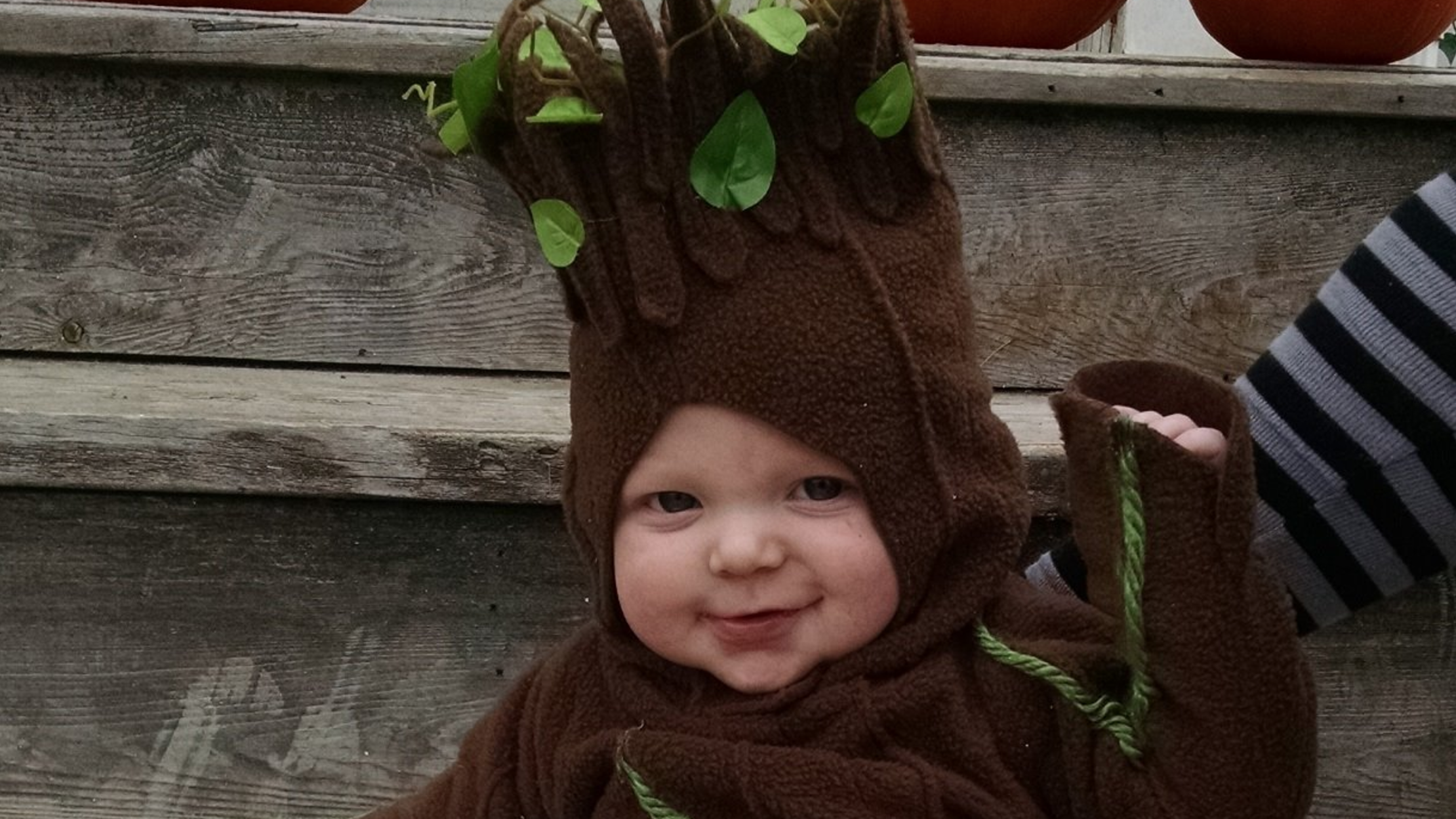 infant groot costume